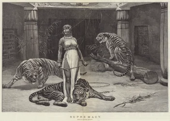 Na suia le tulaga maualuga